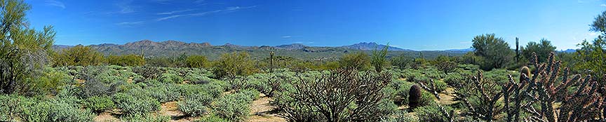 McDowell Mountain Regional Park, February 12, 2015